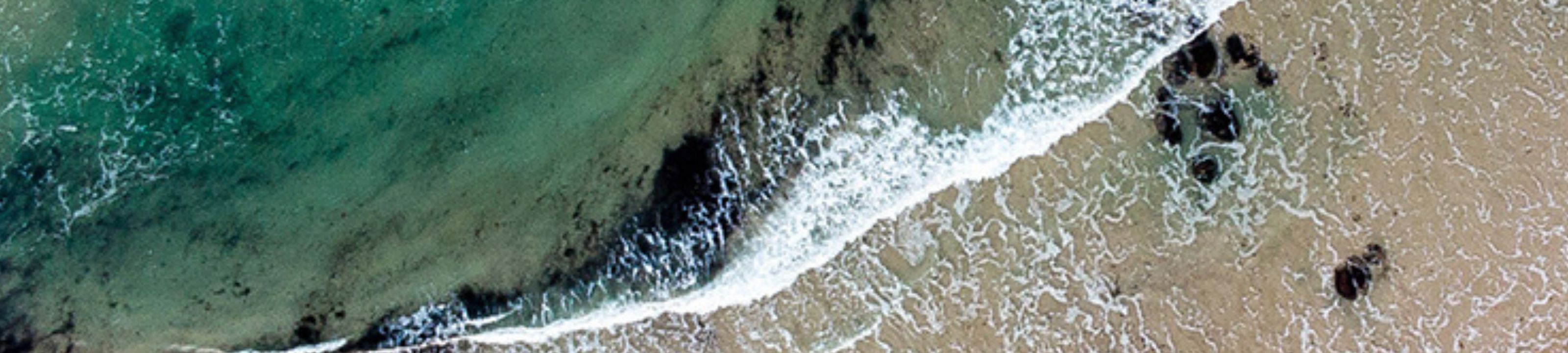 Tara Privitelli cover