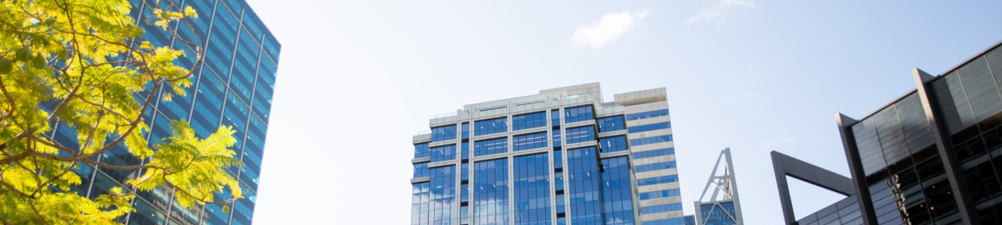 Hotchkin Hanly Lawyers cover