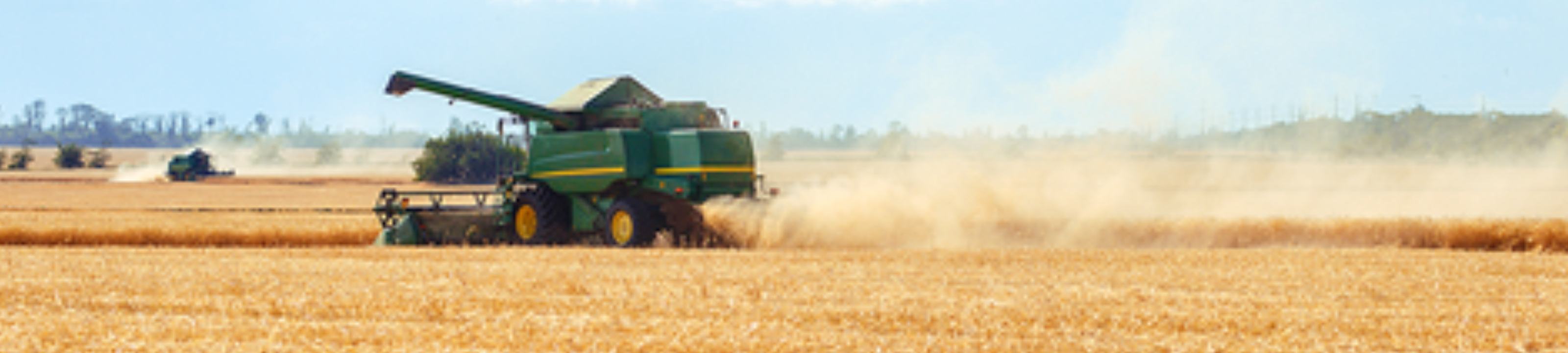 Contested Will and Estate Lawyers cover