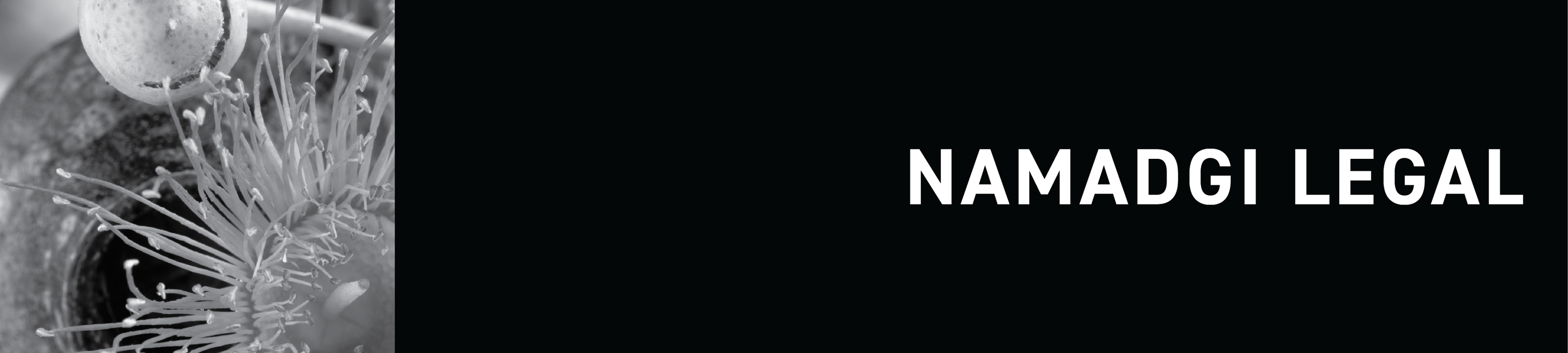 Namadgi Legal cover