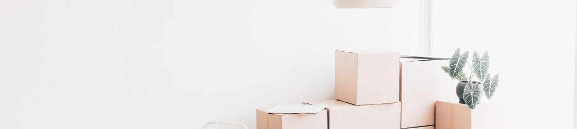 Oliver & Co. Conveyancing cover