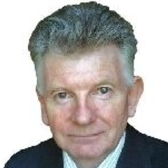 David Stein