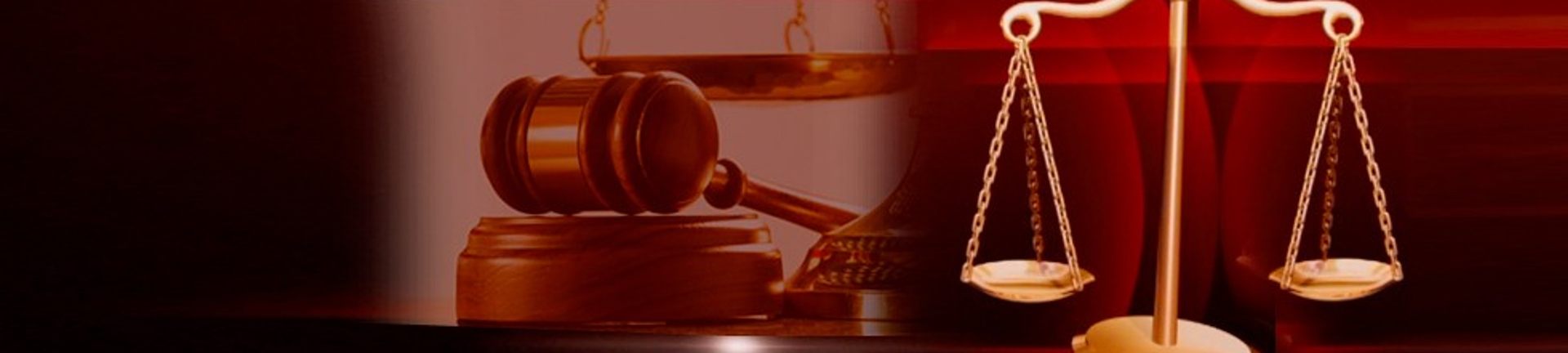 David Legal cover
