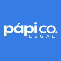 Principal Lawyer and Director