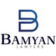 Immigration lawyer