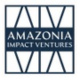 Governance & Impact Director