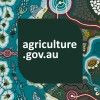 Paralegal