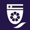 Master of Business Administration - MBA