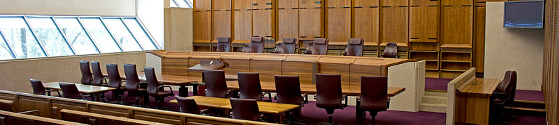 Ravi James Lawyers cover
