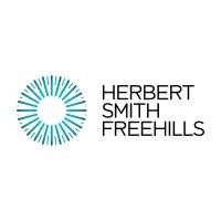 Litigation Associate
