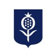 Bachelor of Laws (LLB)
