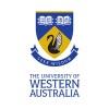 Bachelor of Commerce (BCom), Economics/Law and Society