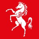 Childcare solicitor