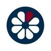 Strategic Finance, Partnerships and Social Enterprise (CFO)