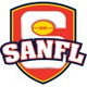 Member, Player Payments Investigation Committee