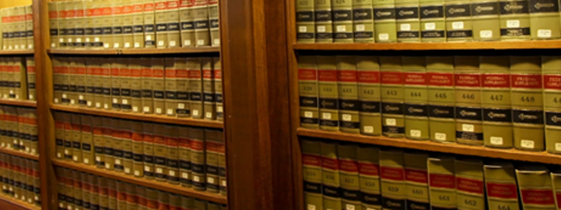 Magna Carta Lawyers cover